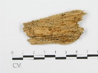 登錄號:F0017168藏品圖，第4張