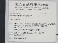 附毛菌屬藏品圖，第2張