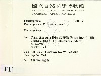 花耳屬藏品圖，第2張