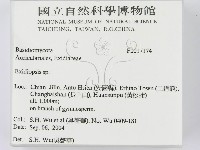 登錄號:F0017174藏品圖，第2張