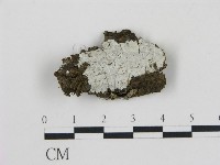 登錄號:F0017174藏品圖，第1張
