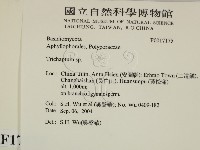 附毛菌屬藏品圖，第2張