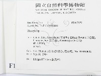 杯傘屬藏品圖，第2張