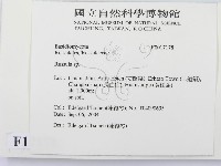 紅菇屬藏品圖，第2張
