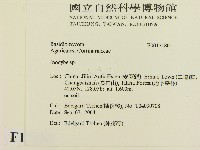 登錄號:F0017180藏品圖，第2張