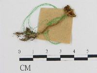 登錄號:F0017180藏品圖，第1張