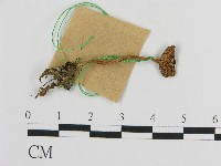 登錄號:F0017180藏品圖，第3張