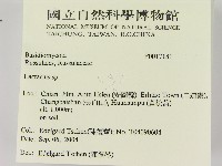 乳菇屬藏品圖，第2張