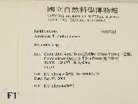 登錄號:F0017182藏品圖，第2張