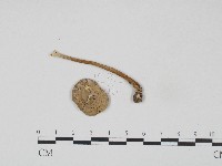 登錄號:F0017182藏品圖，第1張