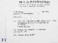 登錄號:F0017184藏品圖，第2張