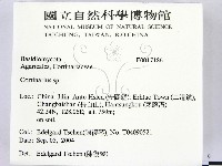 登錄號:F0017186藏品圖，第2張
