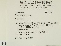 登錄號:F0017188藏品圖，第2張