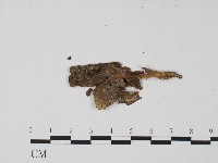 登錄號:F0017188藏品圖，第3張