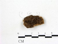 登錄號:F0017189藏品圖，第1張