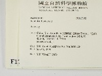 登錄號:F0017190藏品圖，第2張