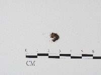 登錄號:F0017190藏品圖，第3張