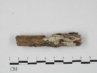 登錄號:F0017191藏品圖，第1張