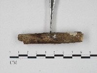登錄號:F0017191藏品圖，第4張