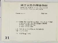 登錄號:F0017193藏品圖，第2張