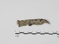 登錄號:F0017193藏品圖，第1張