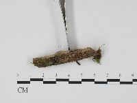 登錄號:F0017194藏品圖，第3張