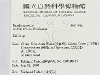 登錄號:F0017195藏品圖，第2張