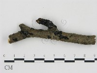 登錄號:F0017195藏品圖，第1張