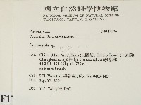 登錄號:F0017196藏品圖，第2張