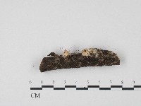 登錄號:F0017196藏品圖，第3張