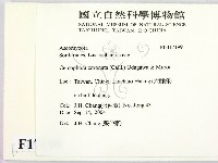 登錄號:F0017199藏品圖，第2張
