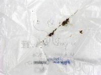 登錄號:F0017199藏品圖，第1張