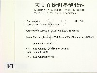 登錄號:F0017200藏品圖，第2張