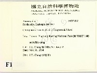 登錄號:F0017202藏品圖，第2張