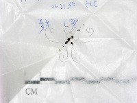 登錄號:F0017202藏品圖，第1張