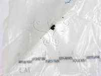 登錄號:F0017203藏品圖，第1張
