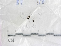 登錄號:F0017205藏品圖，第1張