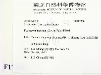 登錄號:F0017206藏品圖，第2張