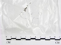登錄號:F0017206藏品圖，第1張