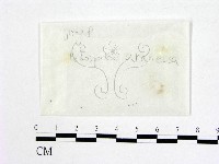 登錄號:F0017207藏品圖，第1張