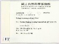 登錄號:F0017208藏品圖，第2張