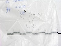 登錄號:F0017208藏品圖，第1張