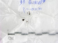 登錄號:F0017209藏品圖，第1張