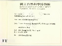 登錄號:F0017210藏品圖，第2張
