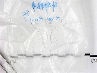 登錄號:F0017210藏品圖，第1張