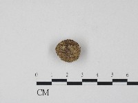 登錄號:F0017213藏品圖，第1張