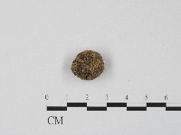 登錄號:F0017213藏品圖，第3張