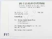 登錄號:F0017215藏品圖，第2張