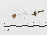 登錄號:F0017215藏品圖，第1張