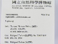 登錄號:F0017216藏品圖，第2張